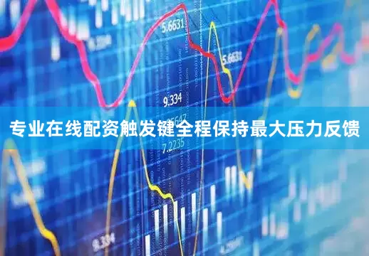 专业在线配资触发键全程保持最大压力反馈