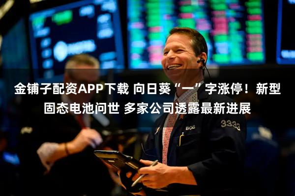 金铺子配资APP下载 向日葵“一”字涨停！新型固态电池问世 多家公司透露最新进展