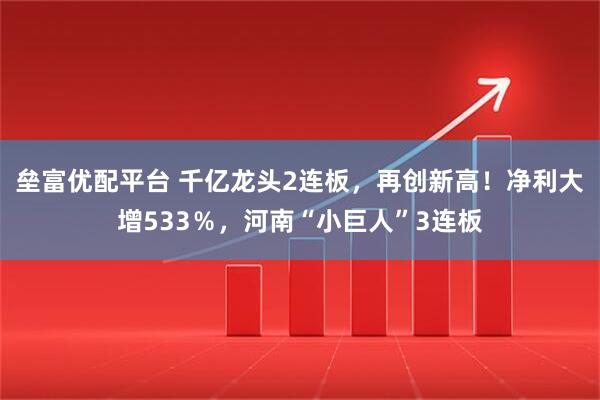 垒富优配平台 千亿龙头2连板，再创新高！净利大增533％，河南“小巨人”3连板