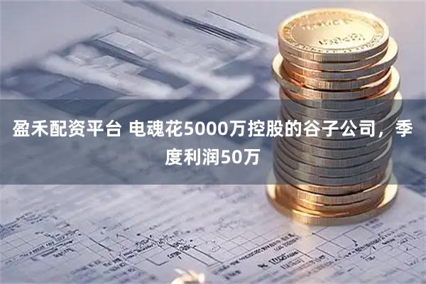 盈禾配资平台 电魂花5000万控股的谷子公司，季度利润50万